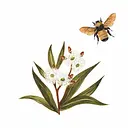 The Rare Honey CO