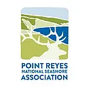 Reyes Movement